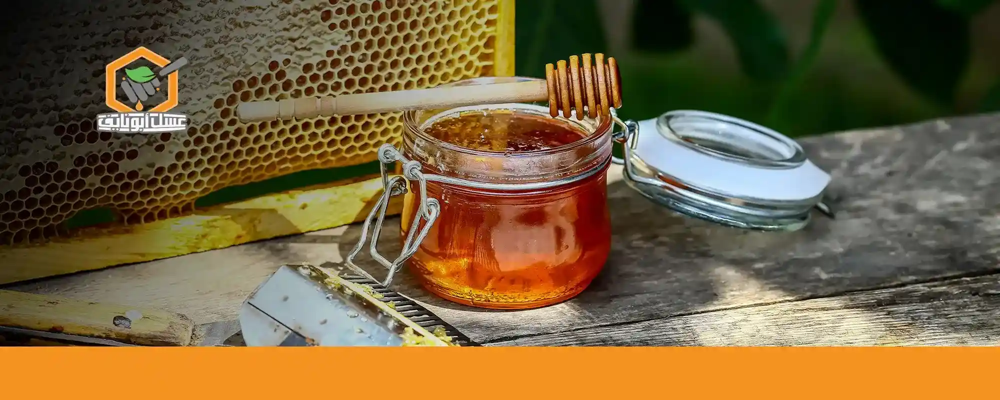 القيمة الغذائية للعسل البري