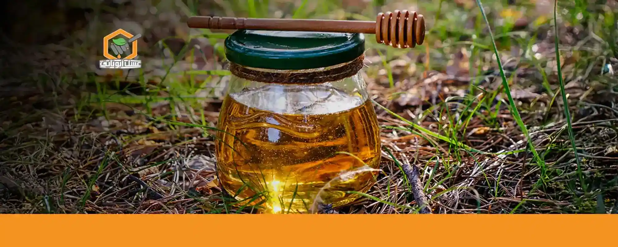 أفضل طريقة لتناول عسل السدر على الريق