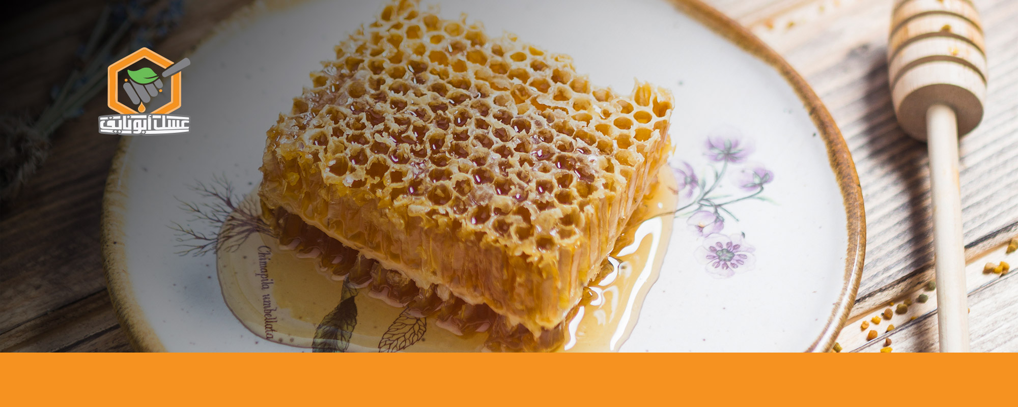 عروض العسل