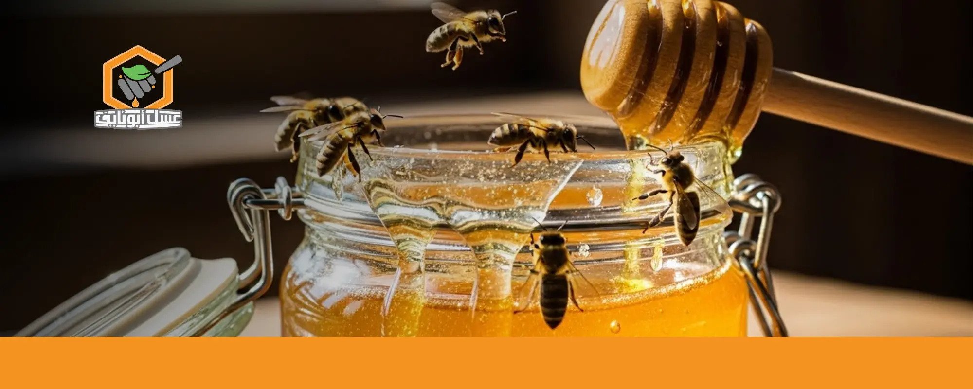من أين يخرج العسل من النحلة
