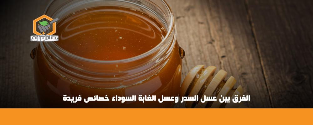 الفرق بين عسل السدر وعسل الغابة السوداء