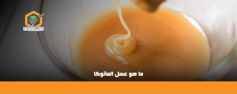 ما هو عسل المانوكا