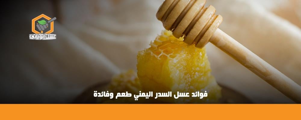 فوائد عسل السدر اليمني