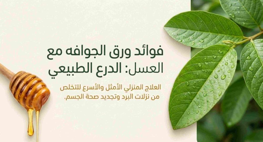 فوائد ورق الجوافه مع العسل