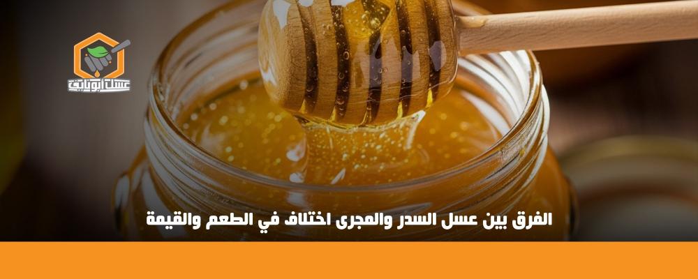 الفرق بين عسل السدر والمجرى