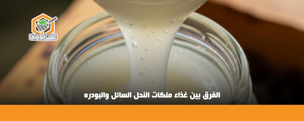 الفرق بين غذاء ملكات النحل السائل والبودره