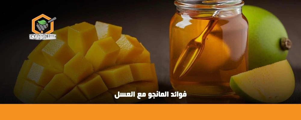فوائد المانجو مع العسل: مزيج طبيعي للصحة والطاقة