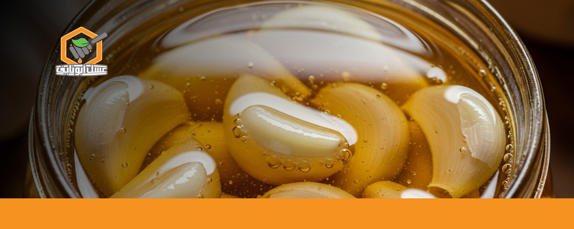 فوائد الثوم مع العسل للمعدة