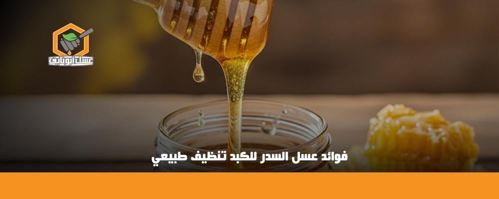فوائد عسل السدر للكبد