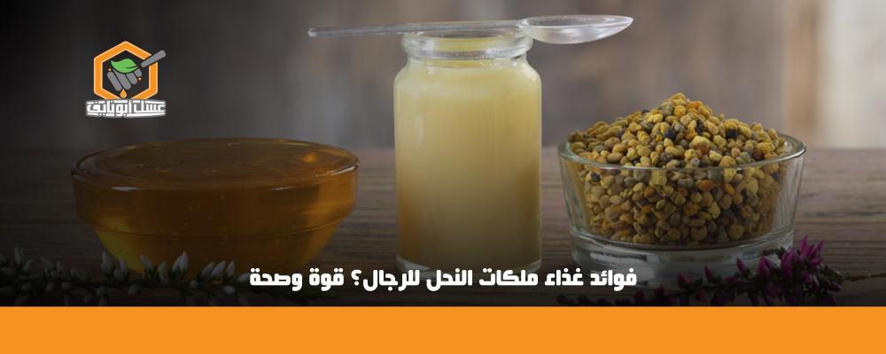 فوائد غذاء ملكات النحل للرجال
