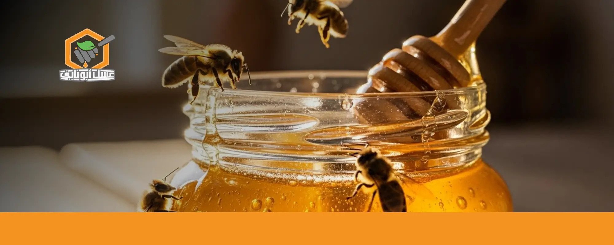 هل يخرج العسل من فم النحل