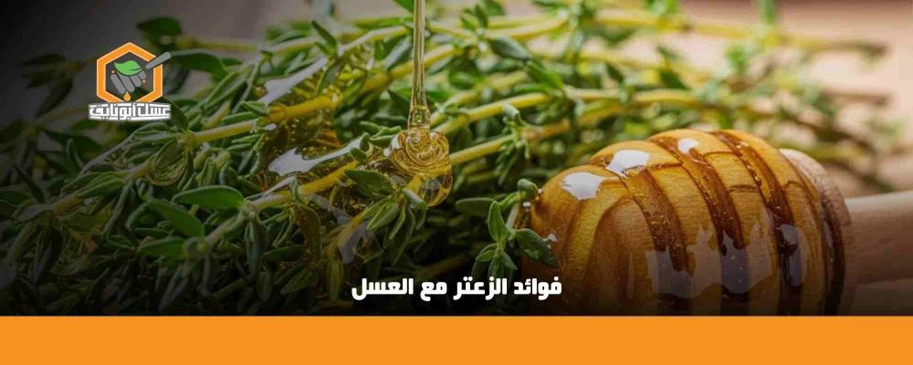 فوائد الزعتر مع العسل واستخداماته الصحية من المطبخ إلى العلاج الطبيعي