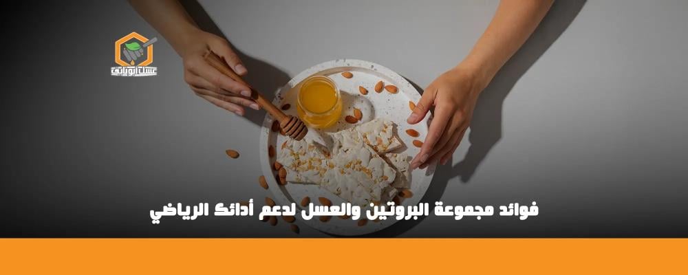 مجموعة البروتين والطاقة