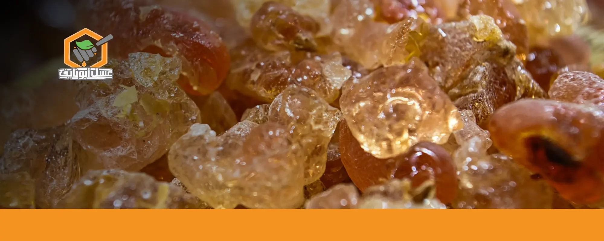 فوائد الصمغ والعسل للجسم