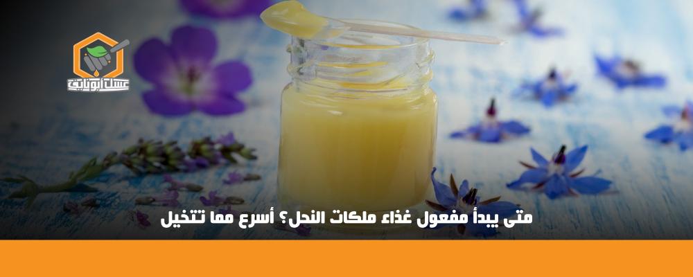 متى يبدأ مفعول غذاء ملكات النحل