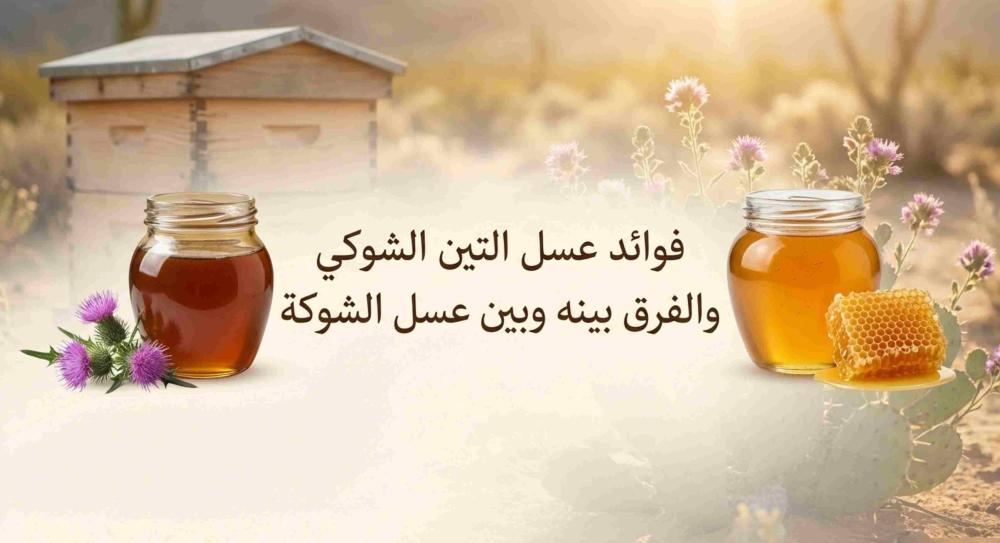 فوائد عسل التين الشوكي والفرق بينه وبين عسل الشوكة