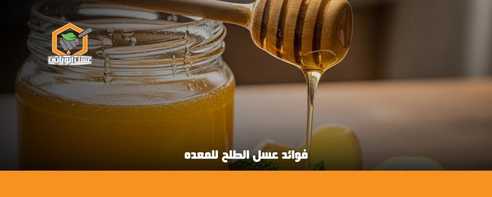 فوائد عسل الطلح للمعده