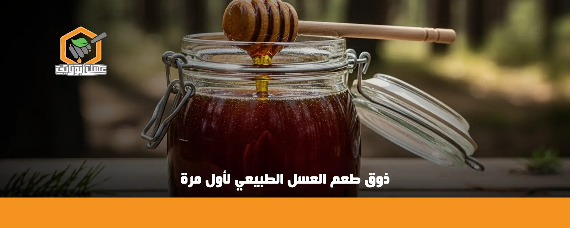 ذوق طعم العسل الطبيعي لأول مرة 01