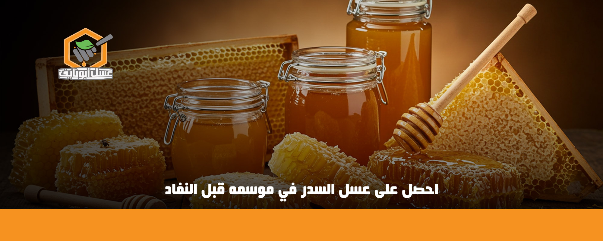 موسم عسل السدر في السعودية