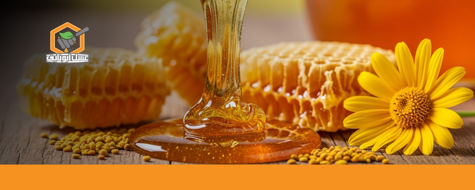 ما هو الفرق بين عسل السدر البري والجبلي