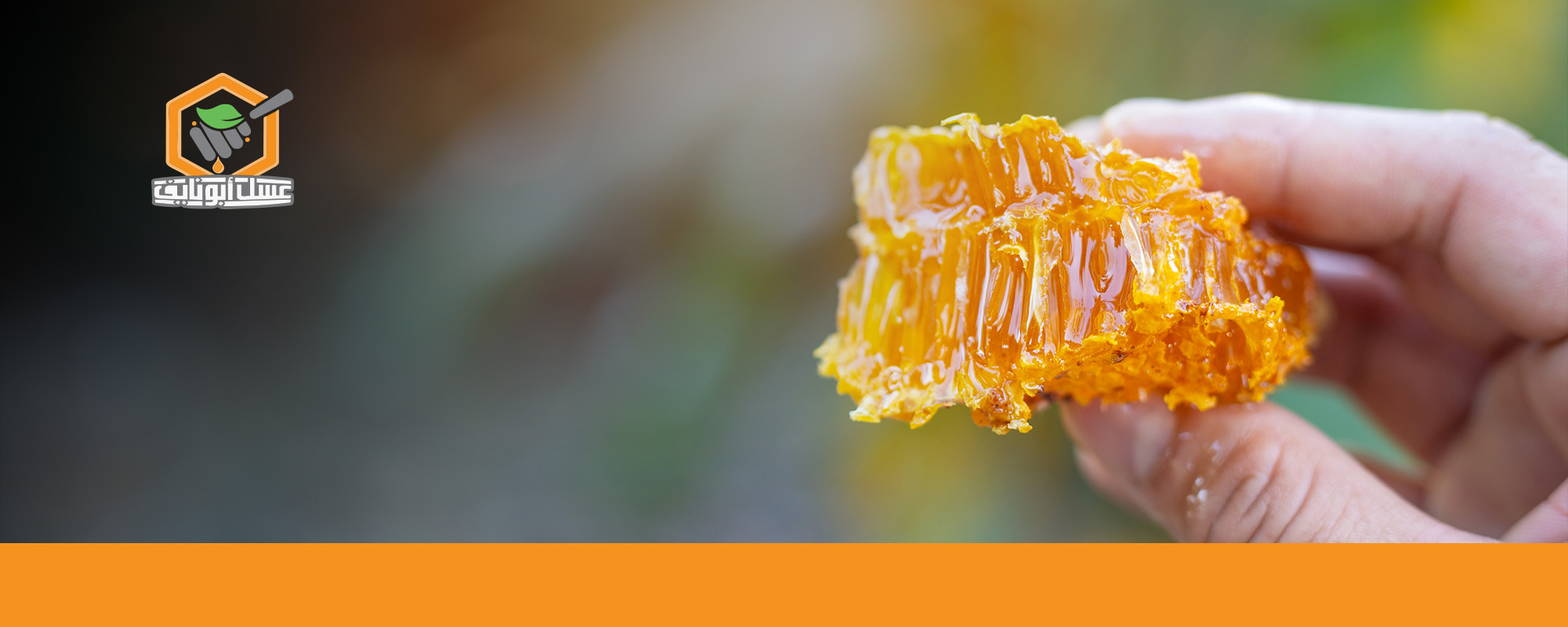 فوائد مضغ شمع العسل