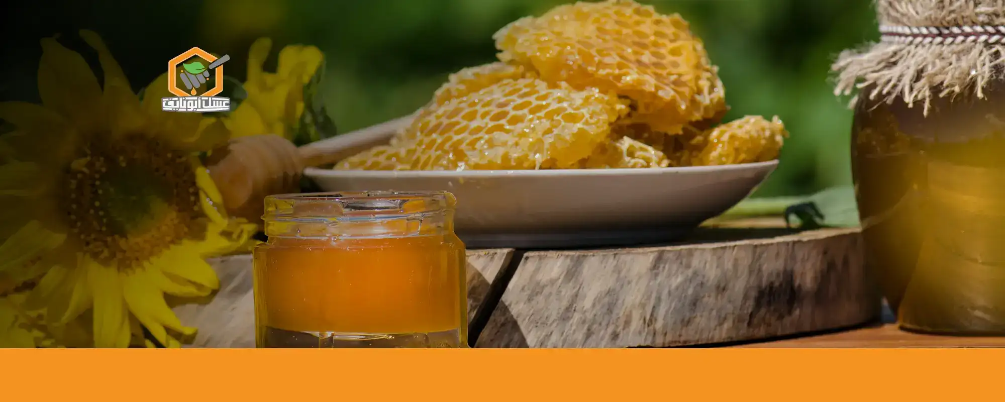 فوائد عسل السدر للكلى