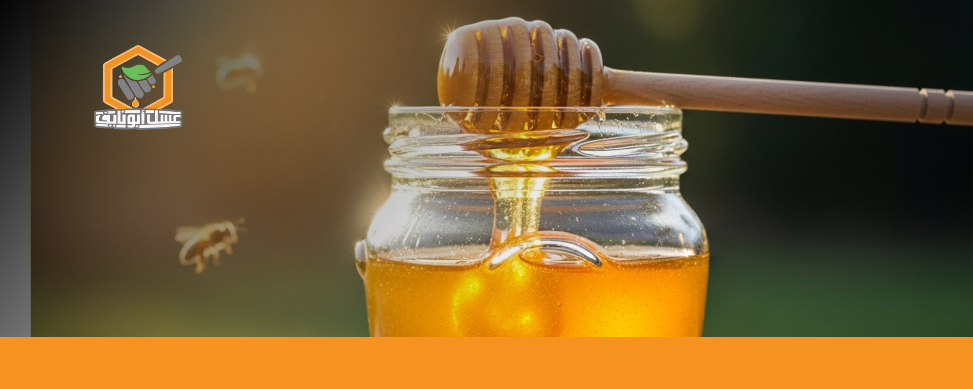 علاج فقر الدم في المنزل