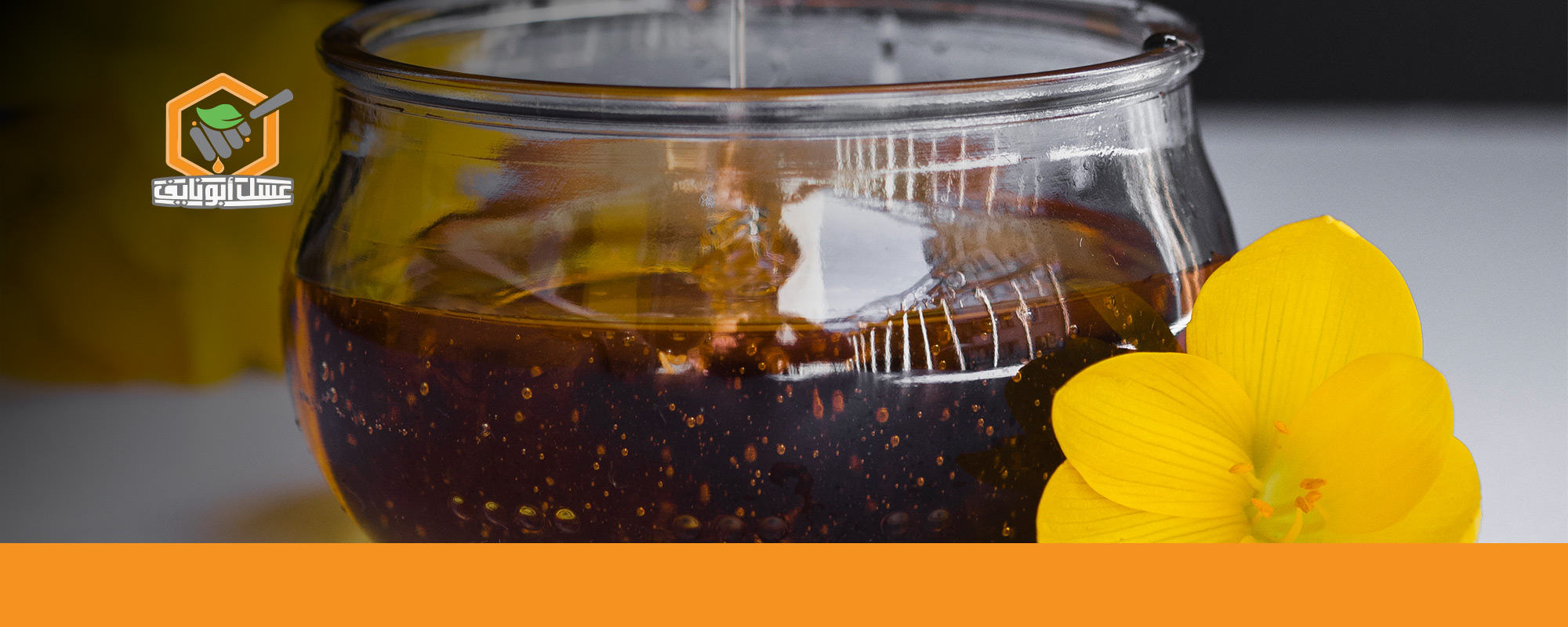 فوائد العسل الأسود للرجال