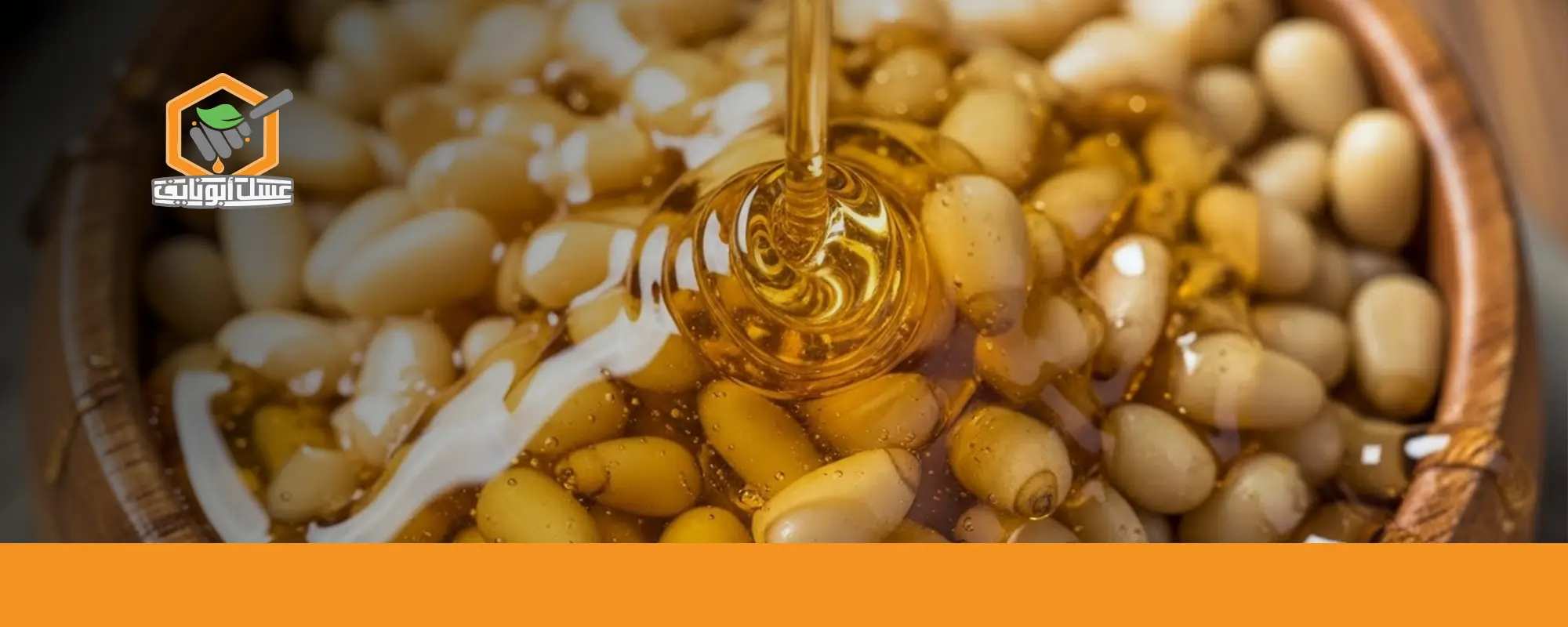 فوائد عسل الصنوبر للنساء