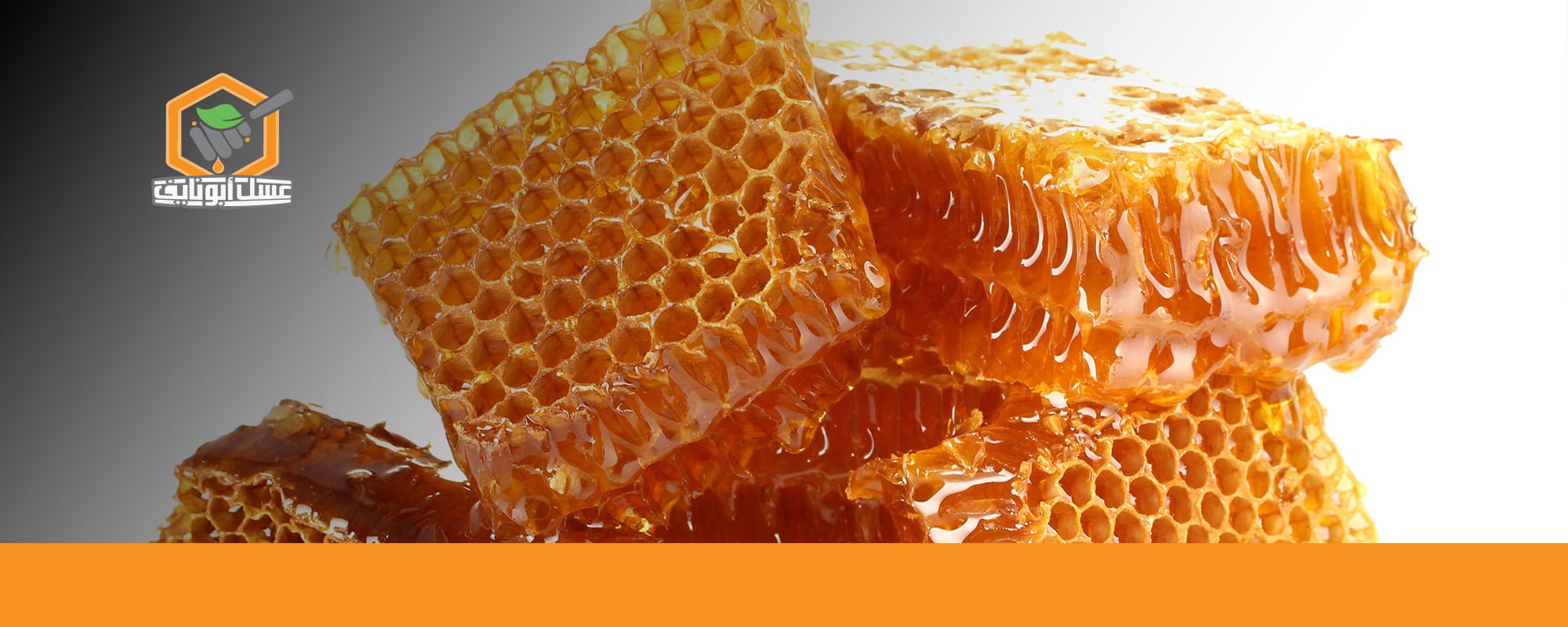 فوائد صمغ النحل