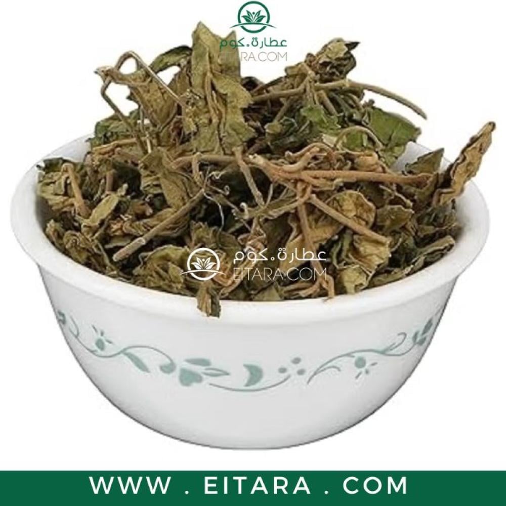 عشبة الجيمنيما جورمار