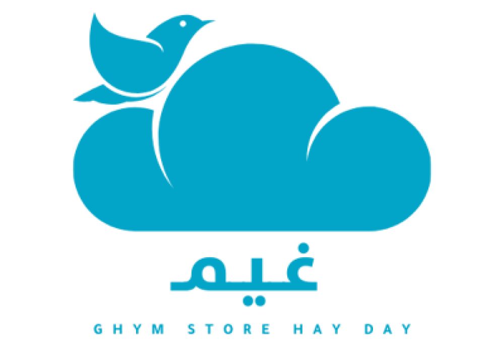 نبذه عن متجر غيم هاي داي