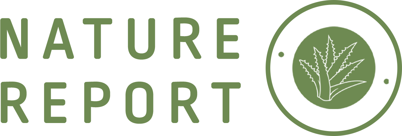 ناتشورال ريبورتNATURE REPORT-brand