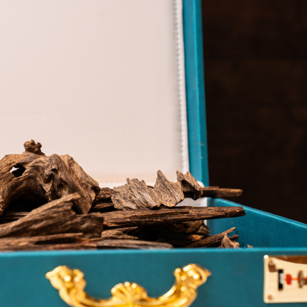 يعتبر عود كلمنتان قديم من أفضل أنواع العود الطبيعي الاصلي الفاخرة