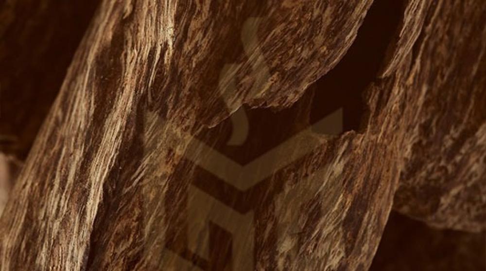 خشب العود الاصلي وأنواعه المختلفة: دليل شامل