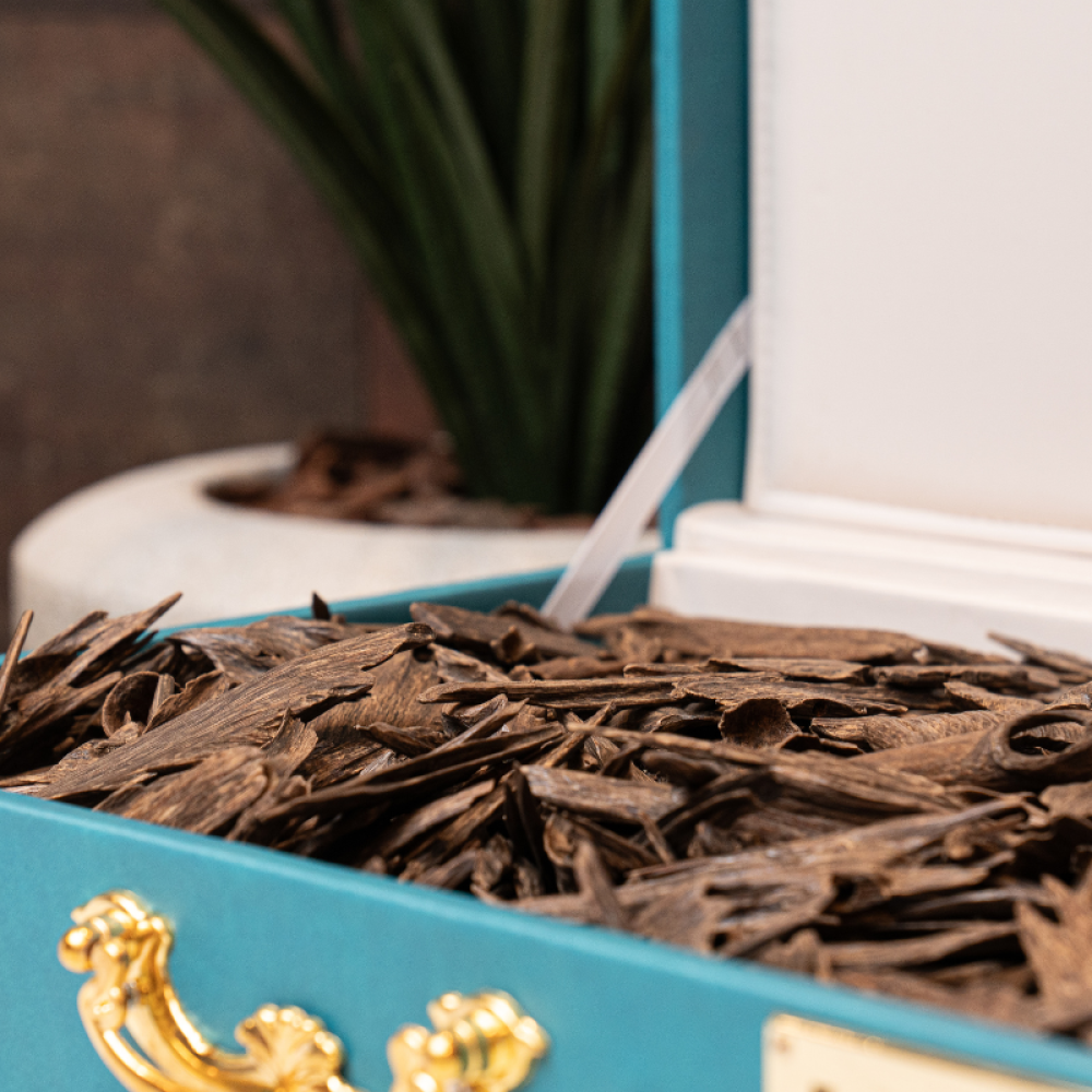 تسوق عود كلمنتان طبيعي مع ماليزي صفائح دبل وتربل بافضل سعر  مميز