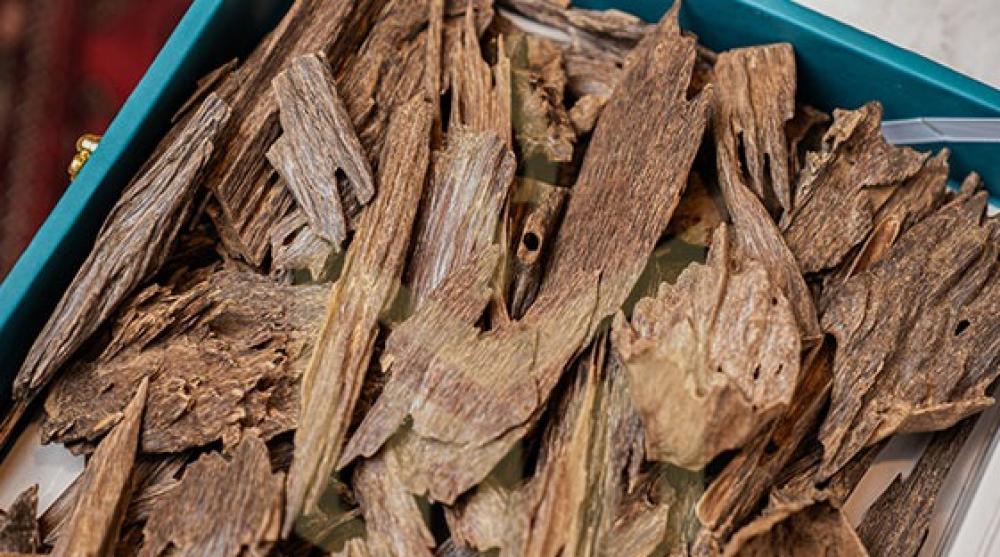 تعرف على أجود أنواع عود الكلمنتان الماليزي: دليل شامل