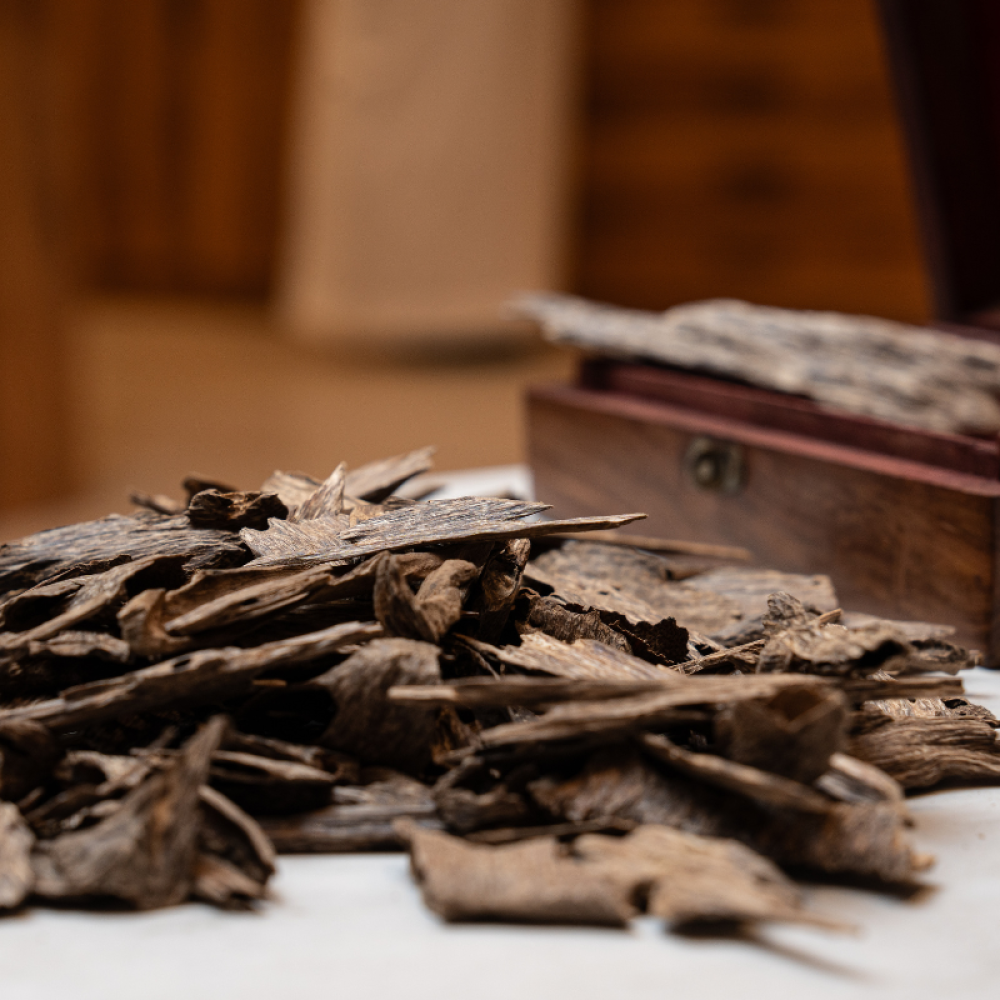 عود كلمنتان بونتيانك يمتاز برائحة مميزة مختلفة و ثبات قوي يدوم ساعات