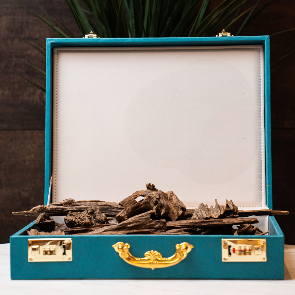 تسوق كلمنتان قديم دبل وتربل خليط بين افضل نكهات خشب الكلمنتان