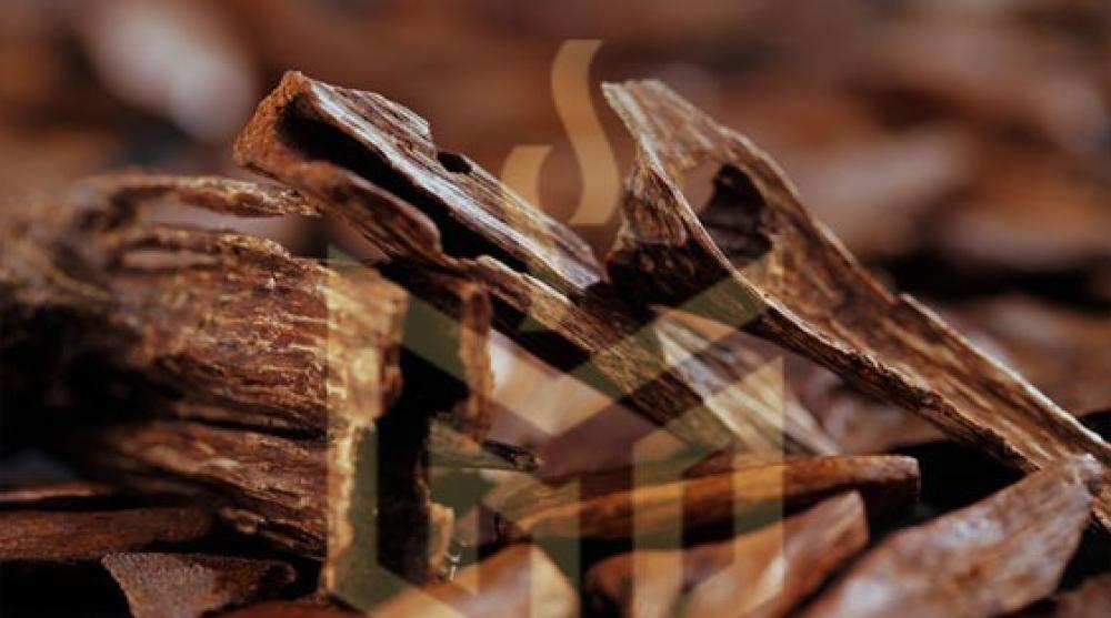 انواع العود العربي: تصنيف احترافي لاختيار النوع المناسب لك