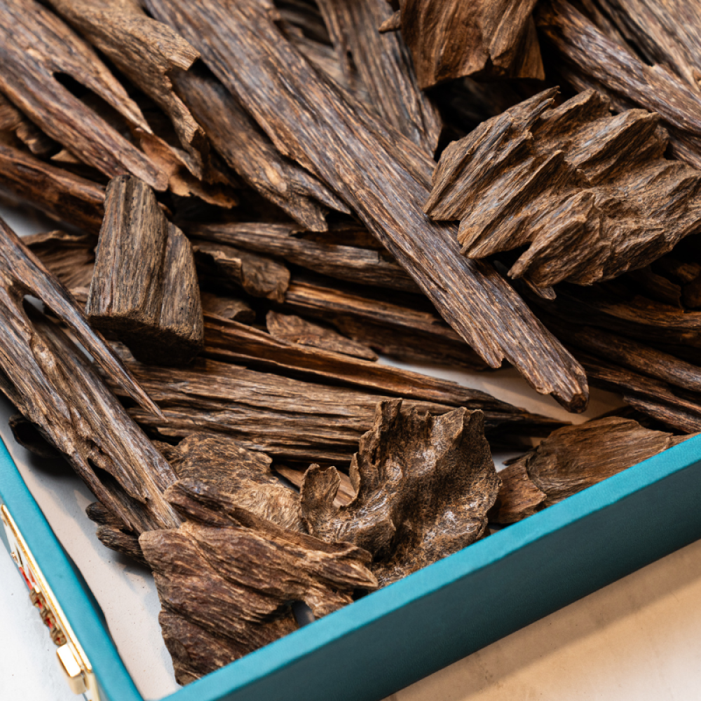 احصل على عود طبيعي كلمنتان قديم دبل وتربل الان من مجالس الكرام للعود