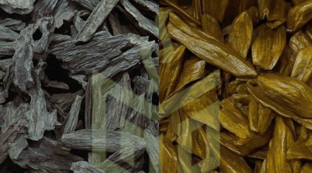 كيف تميّز بين العود الطبيعي والعود المحسن؟ مجالس الكرام