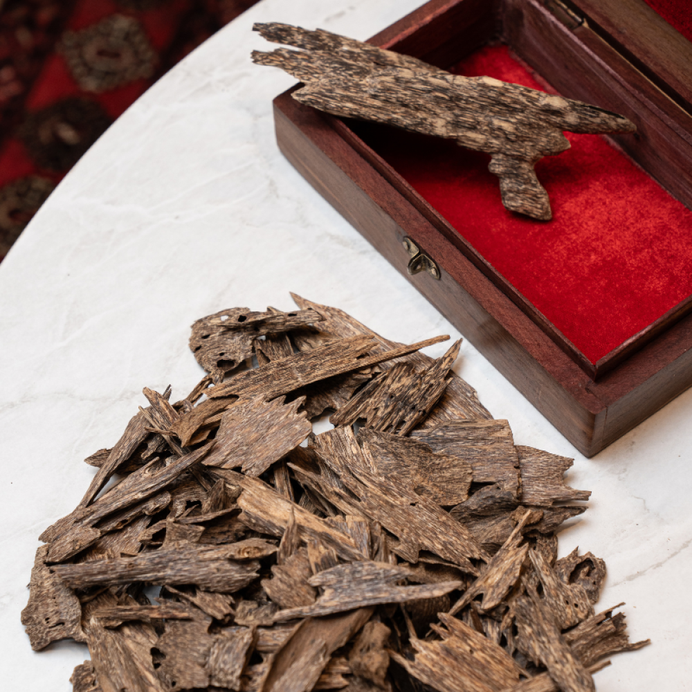 اكتشف العود الطبيعي كلمنتان بونتيانك سوبر مرتفع من مجالس الكرام للعود