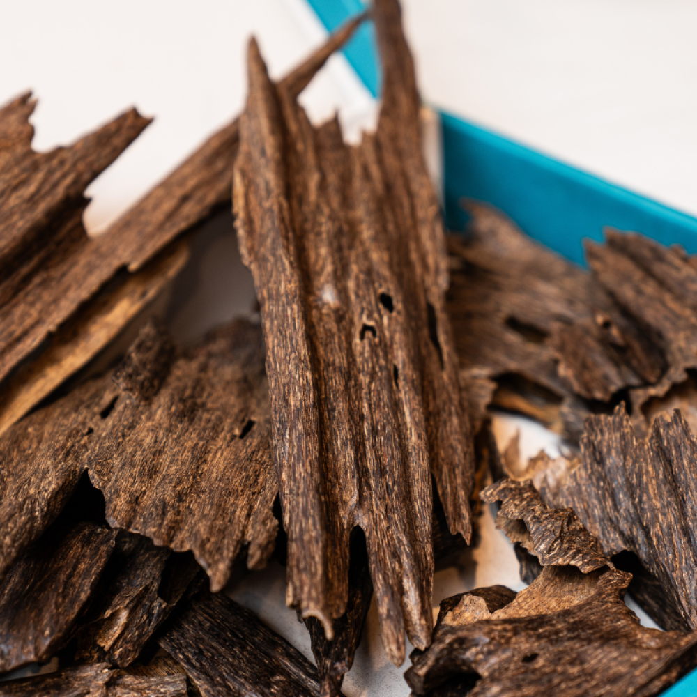 عود كمبودي جبلي قديم نوادر - بخور كمبودي فاخر بنفحات ترابية وخشبية عميقة