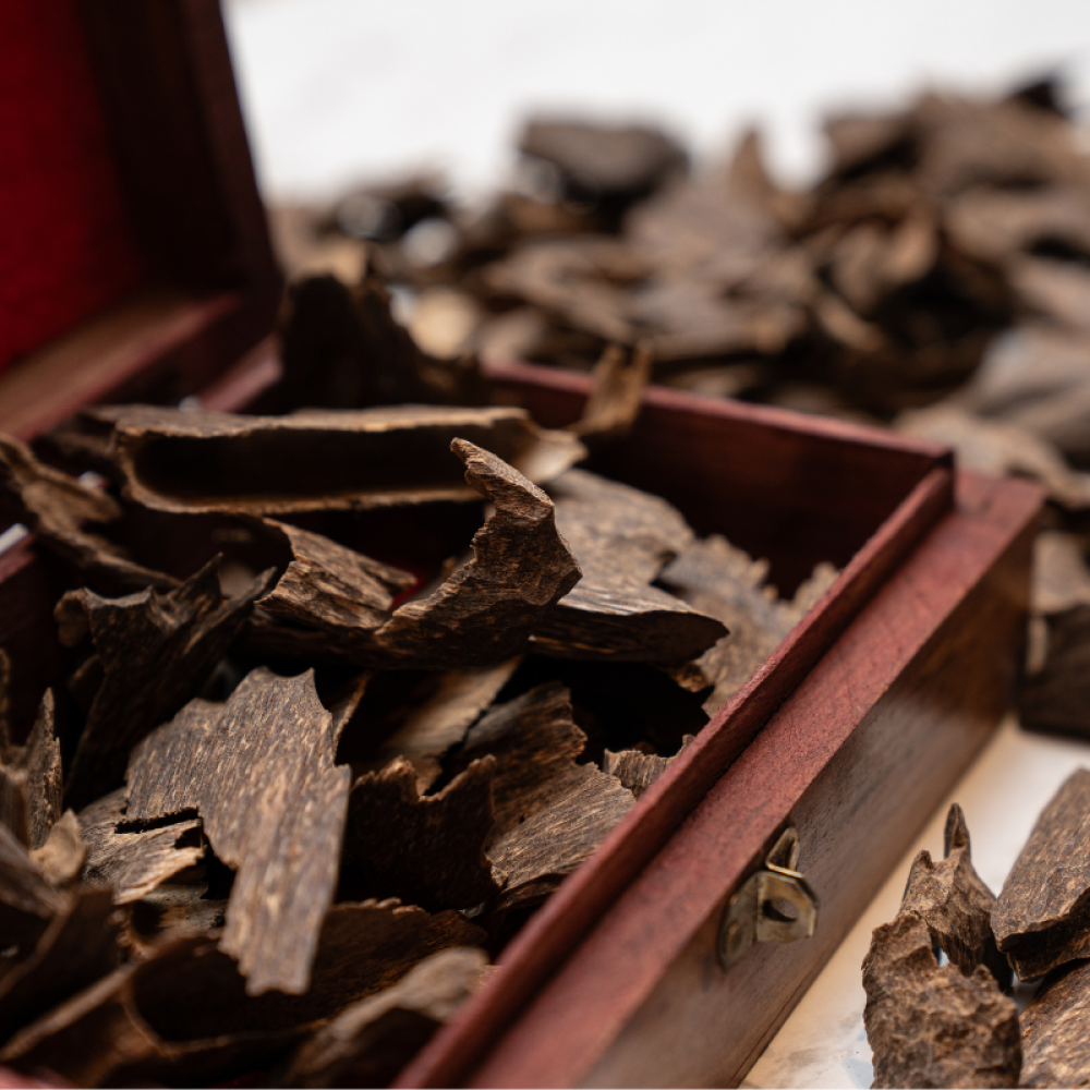 عود هندي زوايا طبيعي فاخر - بخور هندي أصيل للتبخير والتطييب اليومي