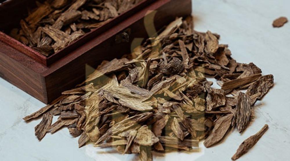 عود كلمنتان طبيعي: اكتشف سر القوة والانتشار في غابات بونتي