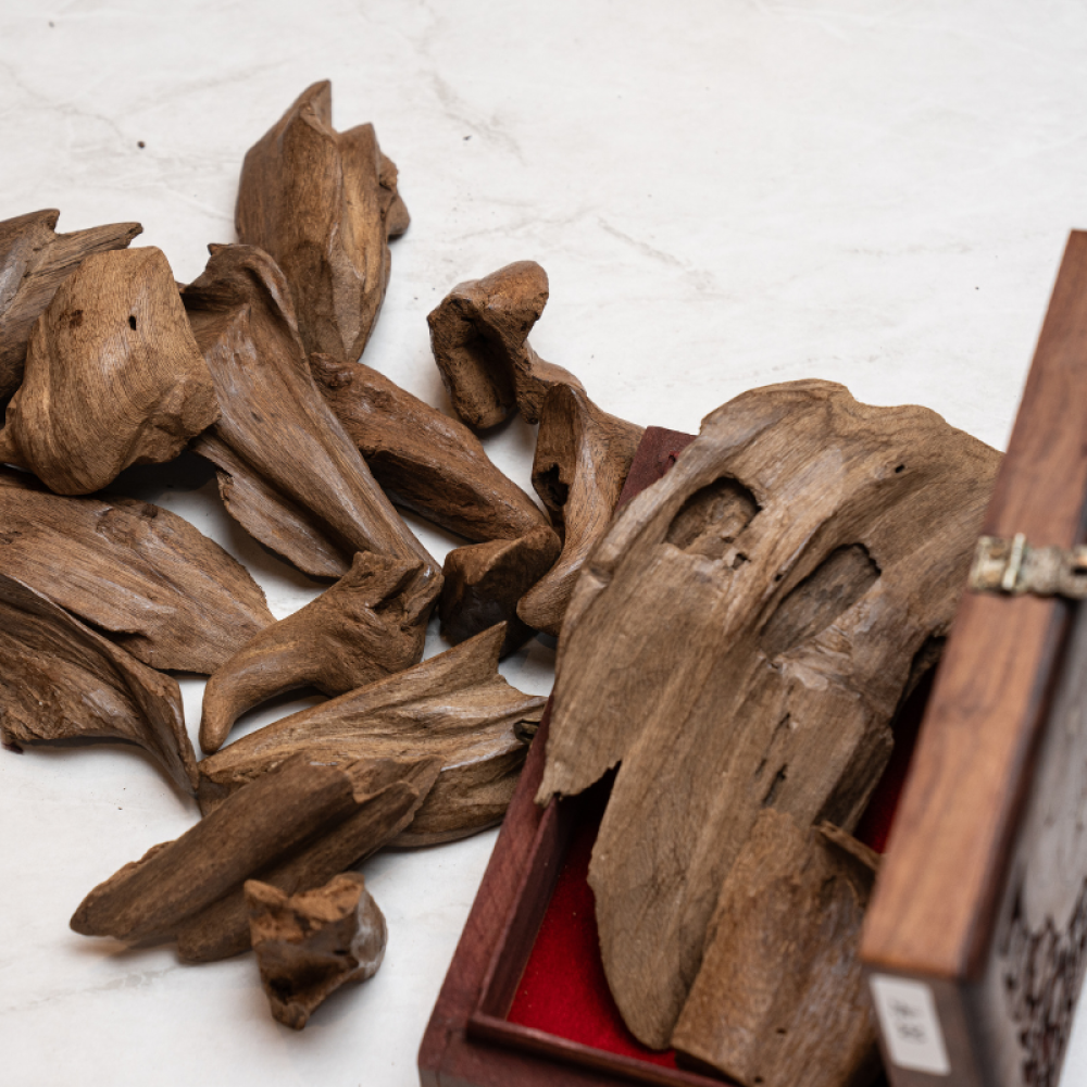 افضل عود مروكي طبيعي دبل من متجر مجالس الكرام للعود الطبيعي