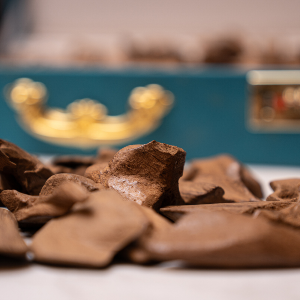 عود مروكي تربل طبيعي كنق اصلي - متجر مجالس الكرام للعود الطبيعي