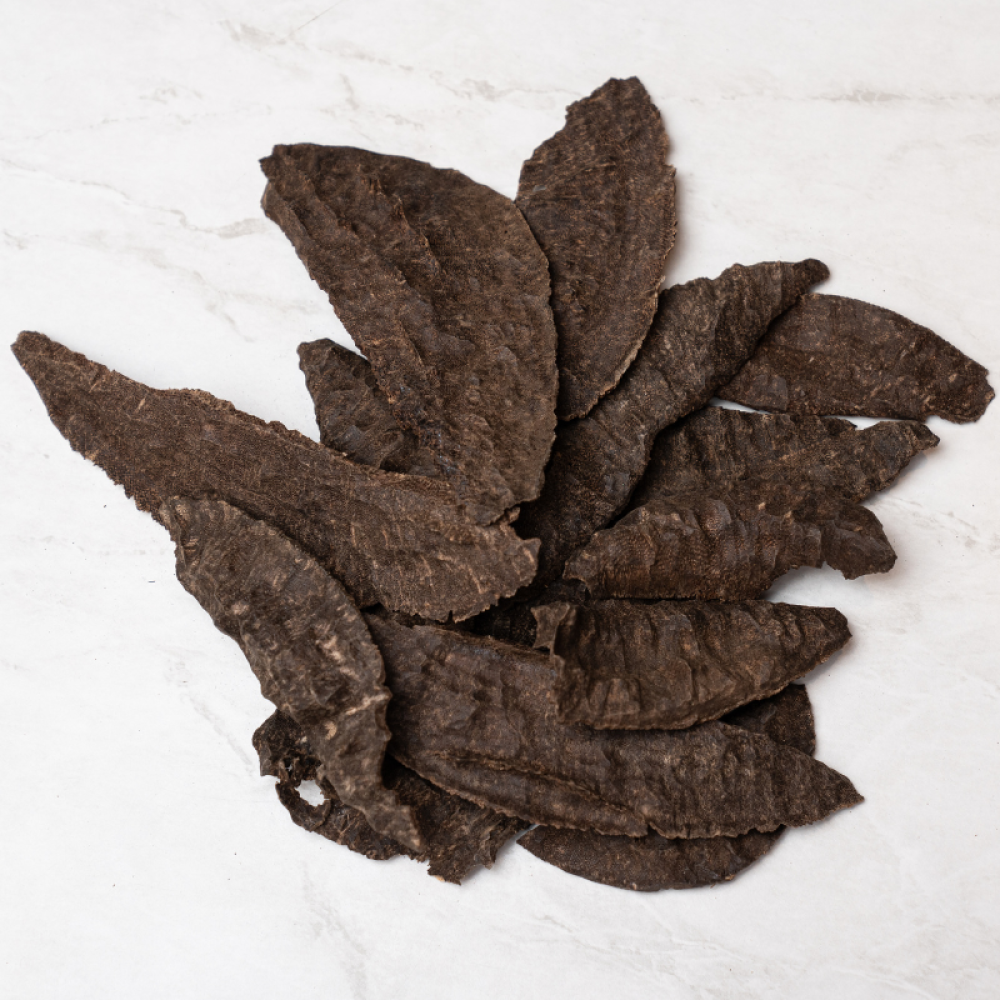 عود جار هندي فاخر - عود طبيعي جار برائحة شرقية أصيلة - مجالس الكرام