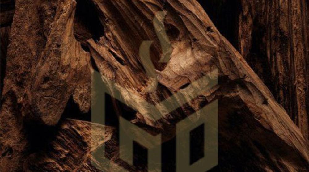 معلومات عن افضل انواع العود الطبيعي: تقرير شامل